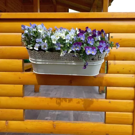 Imperator Kvintil & Lezimir