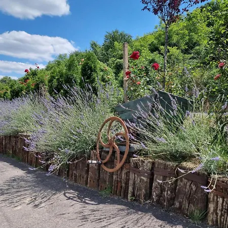 Imperator Kvintil & Lezimir