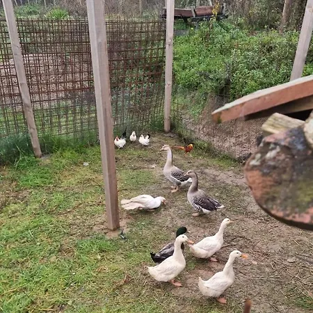 Imperator Kvintil & krevet i doručak 4*